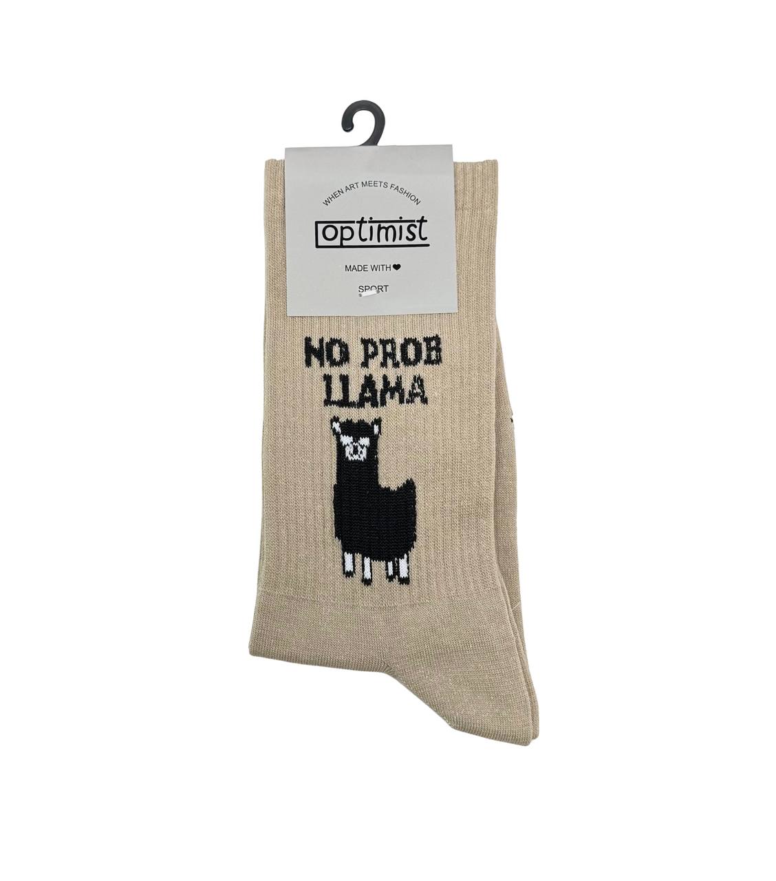 IMG_20260222_024039_662